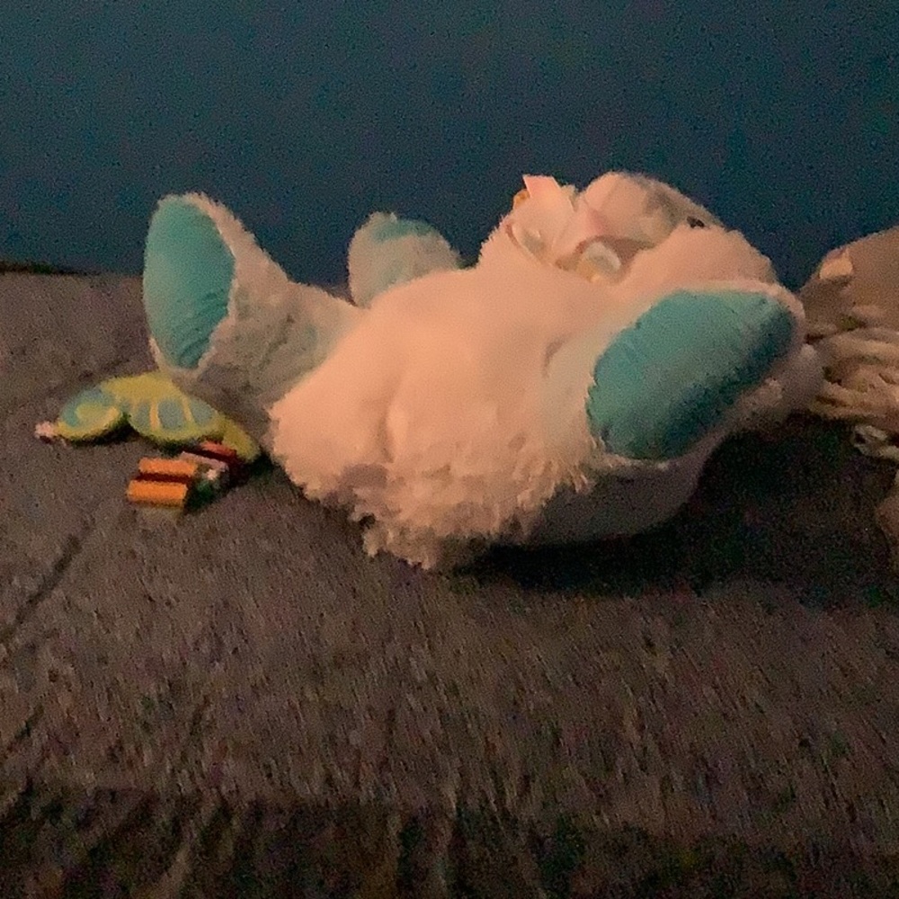 Stuffed Bunny